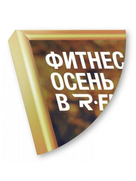 Рамка Нельсон 02, А4,  золото глянец анодир. в Калининграде - картинка, изображение, фото